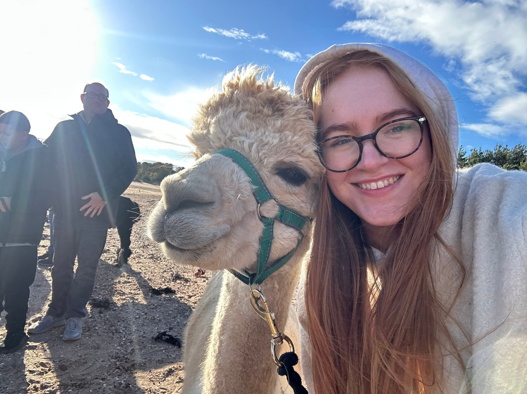 John Muir Alpacas-Dunbar必去景点