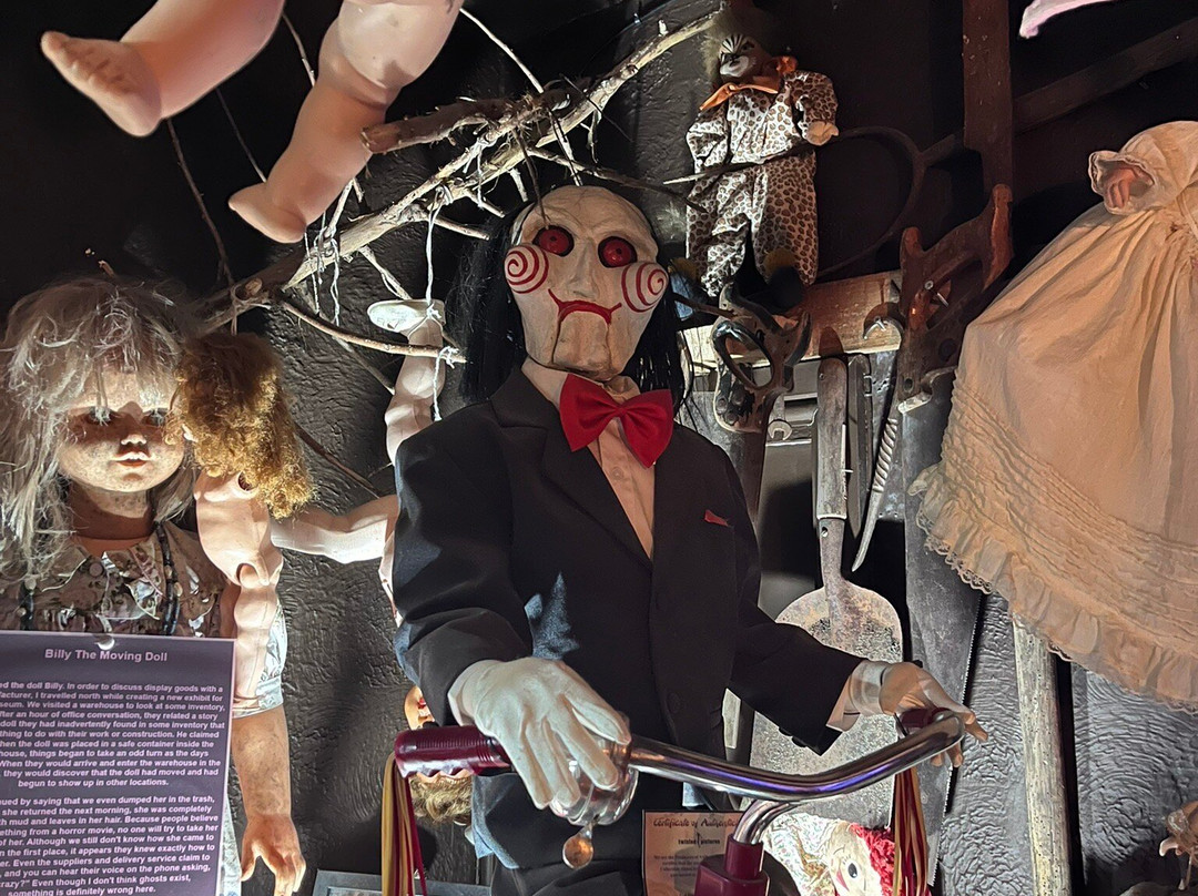 The Museum Of Curiosities-诺丁汉必去景点