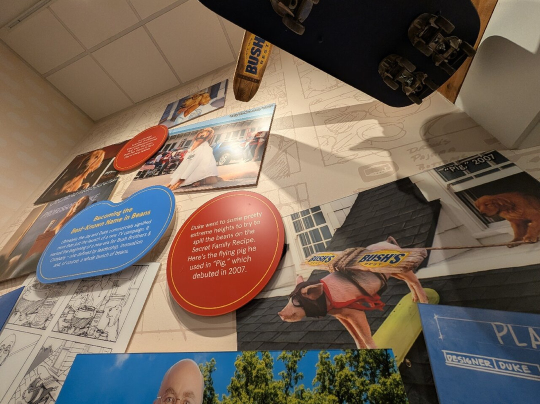 Bush's Visitor Center-Dandridge必去景点