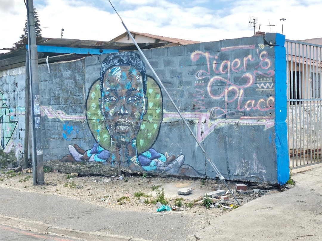 Siviwe Township Tours-开普敦中心区必去景点