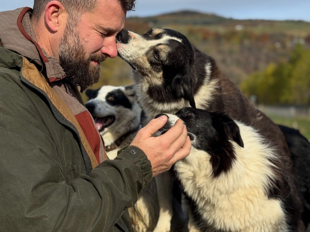 Lurgan Farm-Aberfeldy必去景点
