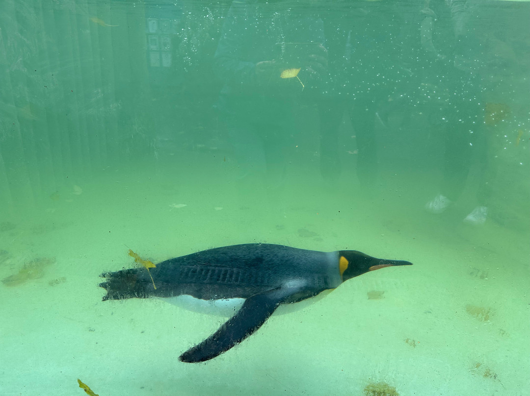 鸟园-水上伯顿必去景点