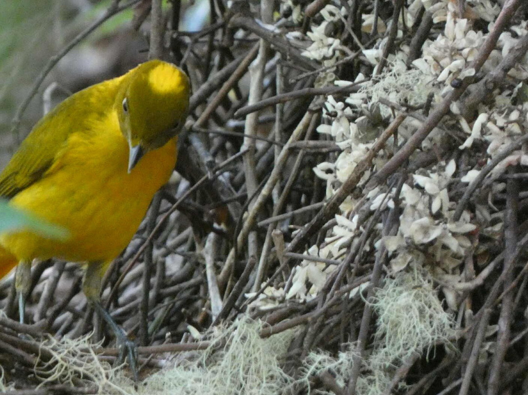 FNQ Nature Tours-凯恩斯必去景点