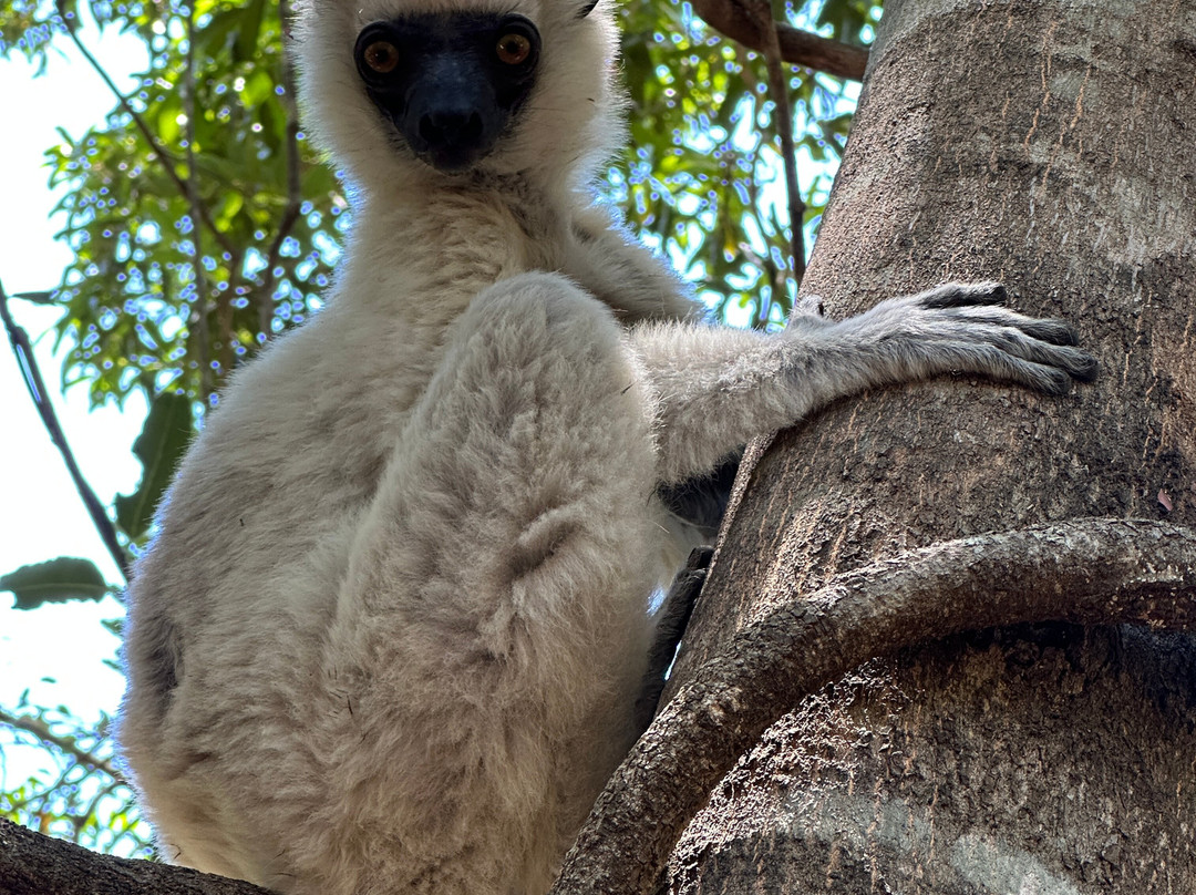 Namiouh Dago tour-安齐拉贝必去景点