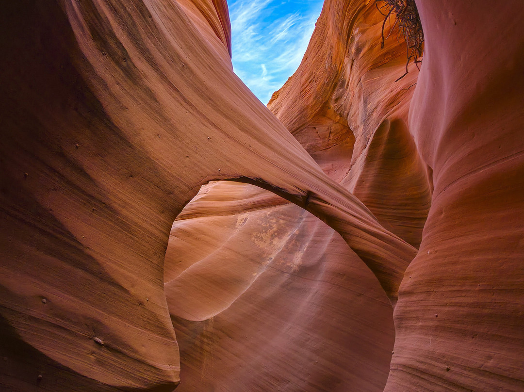 Black Streak Canyon Tours-佩吉必去景点
