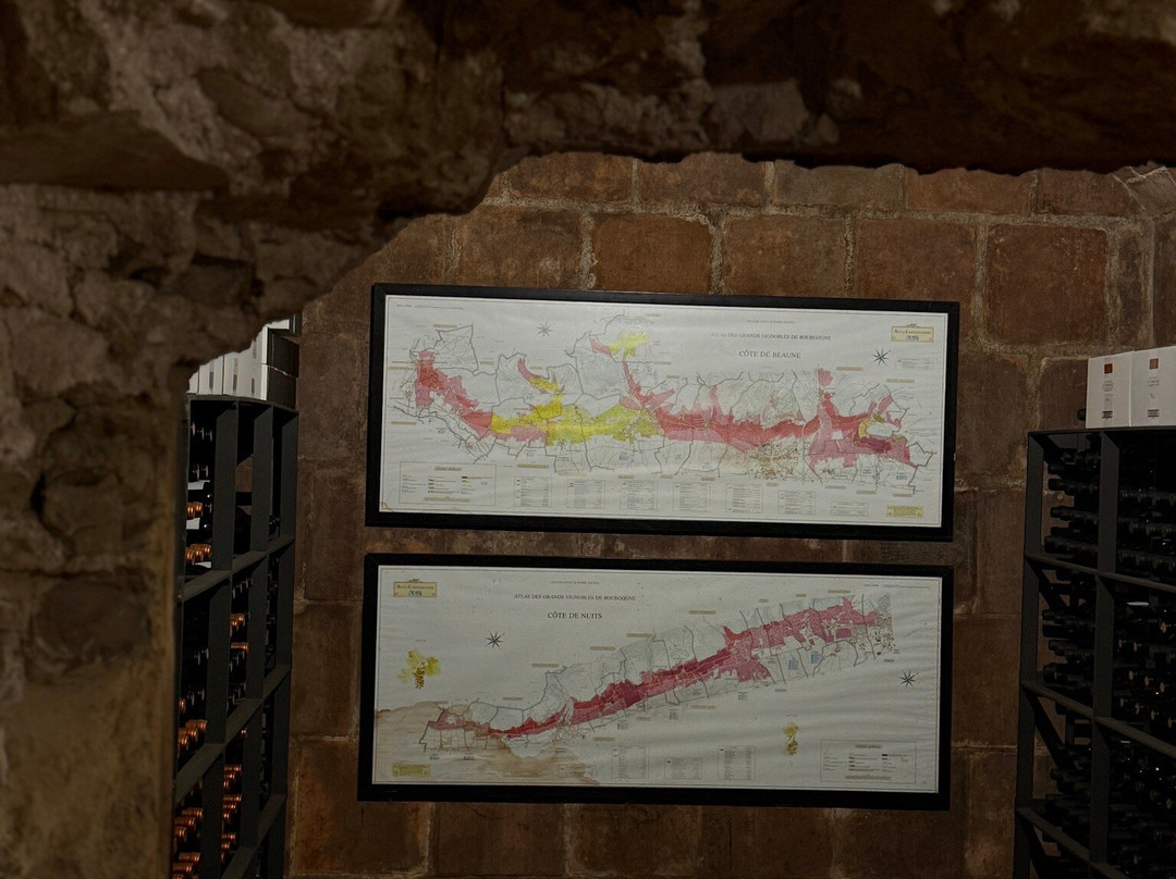 Bodega Mustiguillo-Utiel必去景点