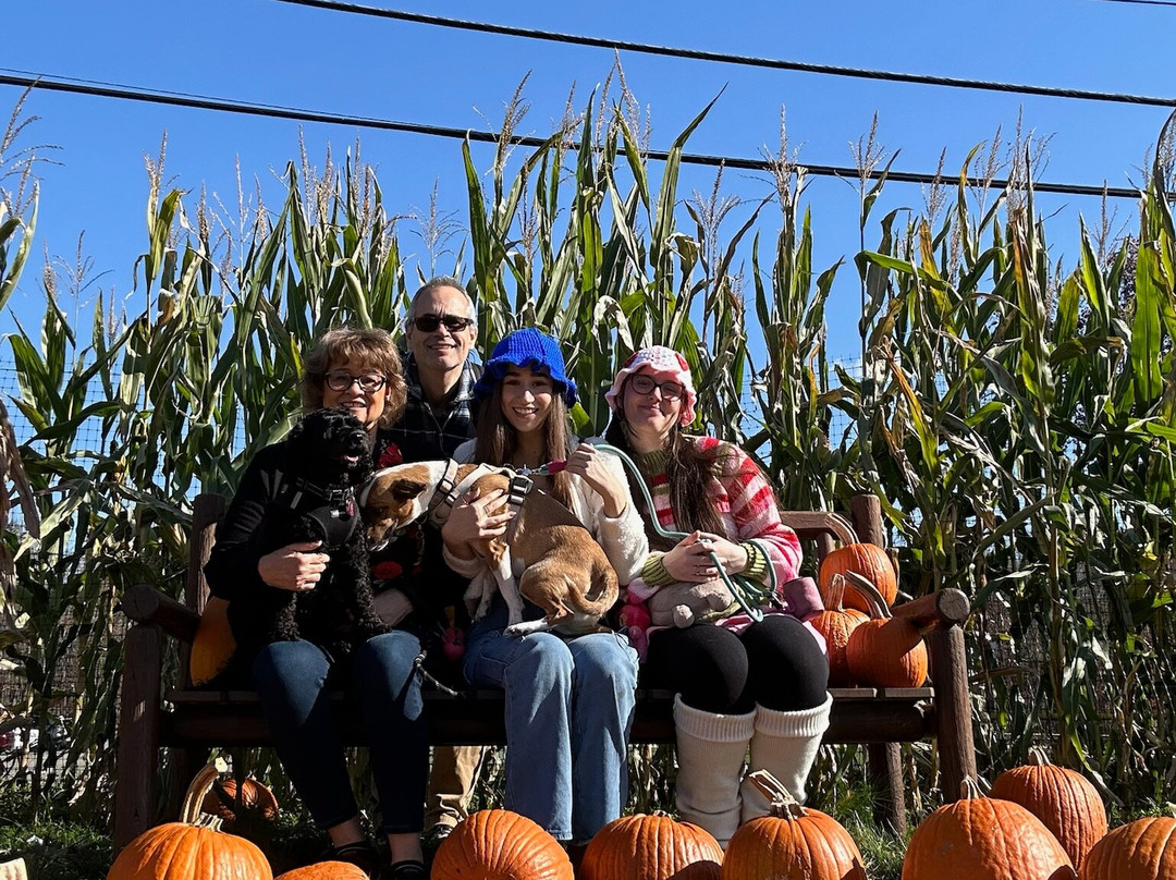 Secor Farms-莫沃必去景点