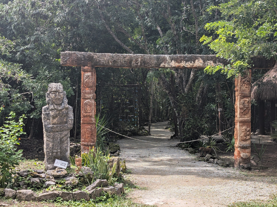 Mayan Bee Sanctuary-San Miguel de Cozumel必去景点