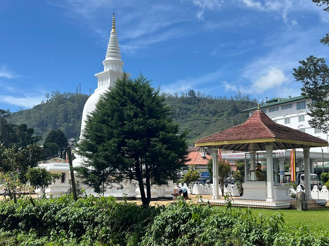 nitwo tours srilanka-Nanu Oya必去景点