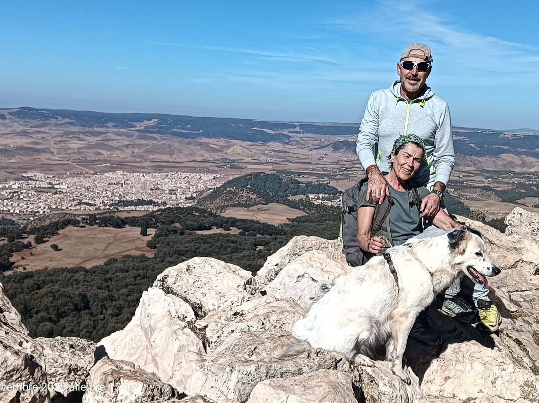 Saleh Boudaoud Official Guide-Azrou必去景点