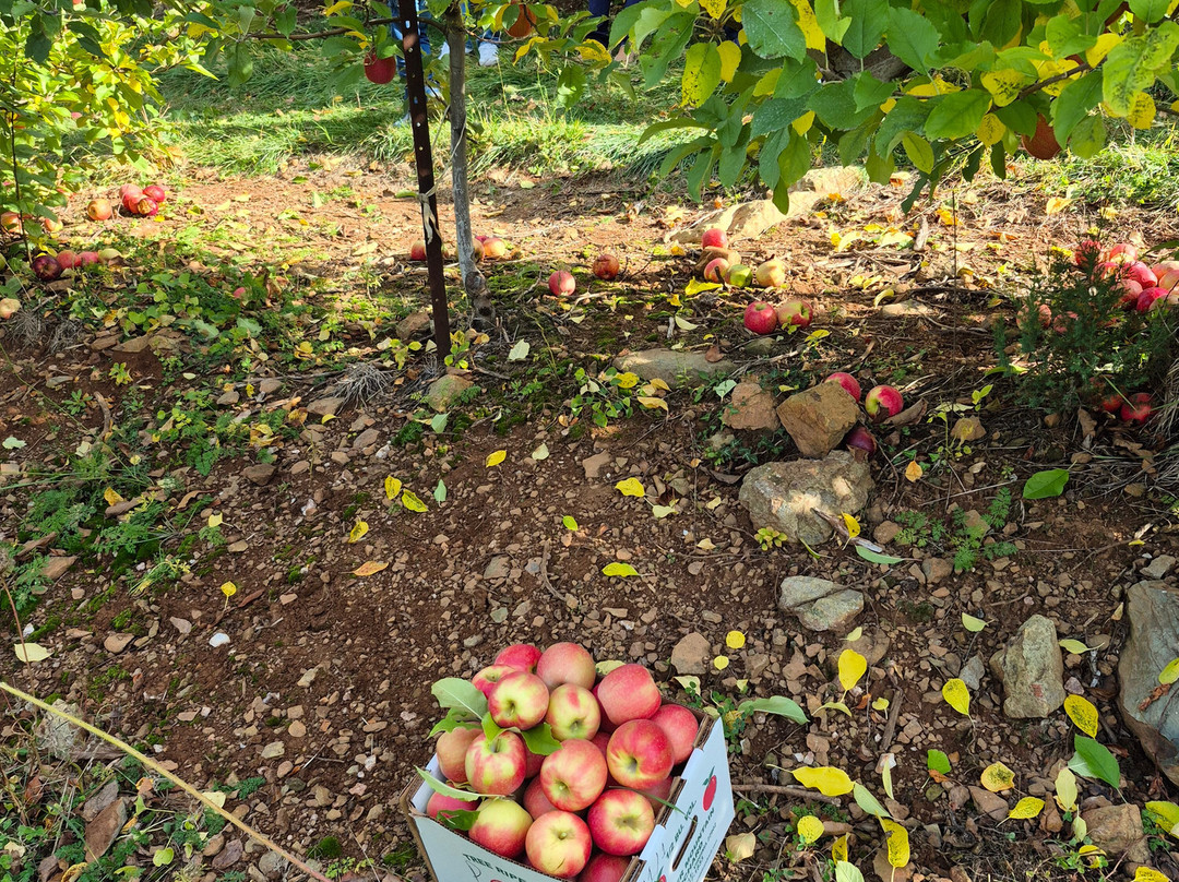 夏洛茨维尔希尔顿花园旅馆主图