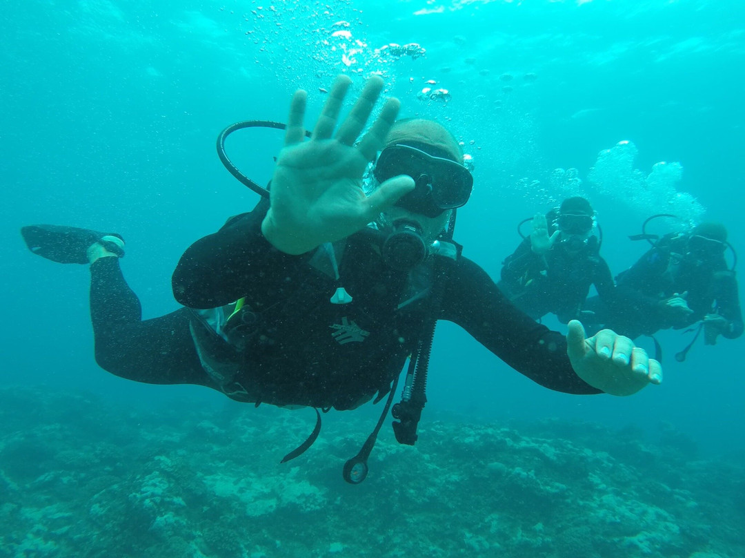 Dive Passion Mauritius-卓得多斯必去景点