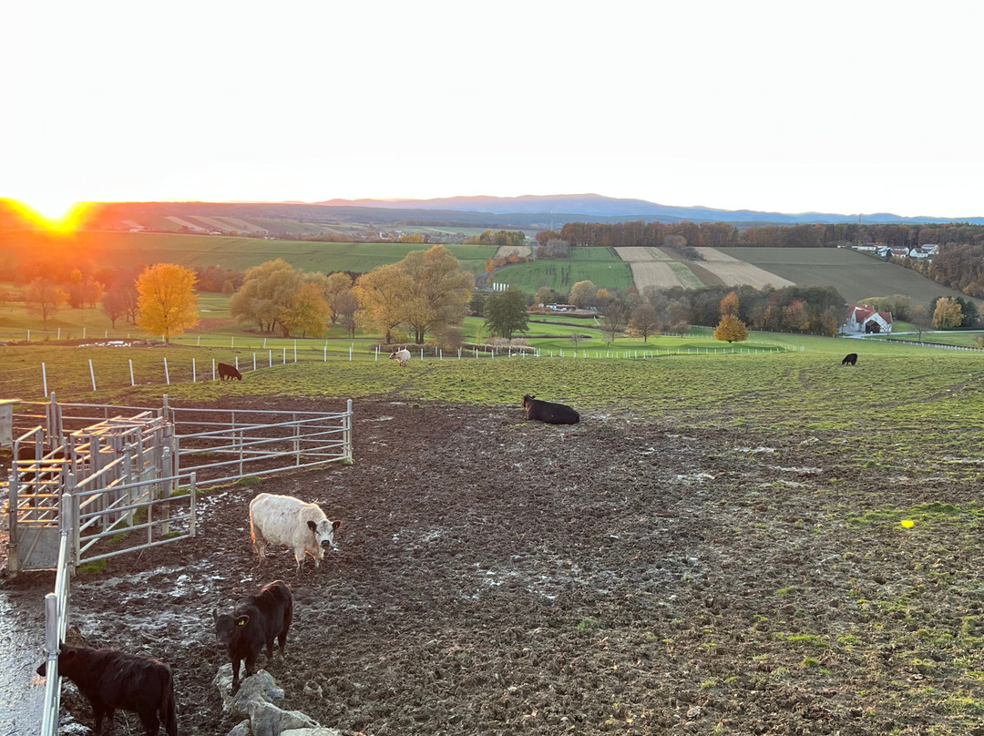 Hotel Reiters Finest Family主图