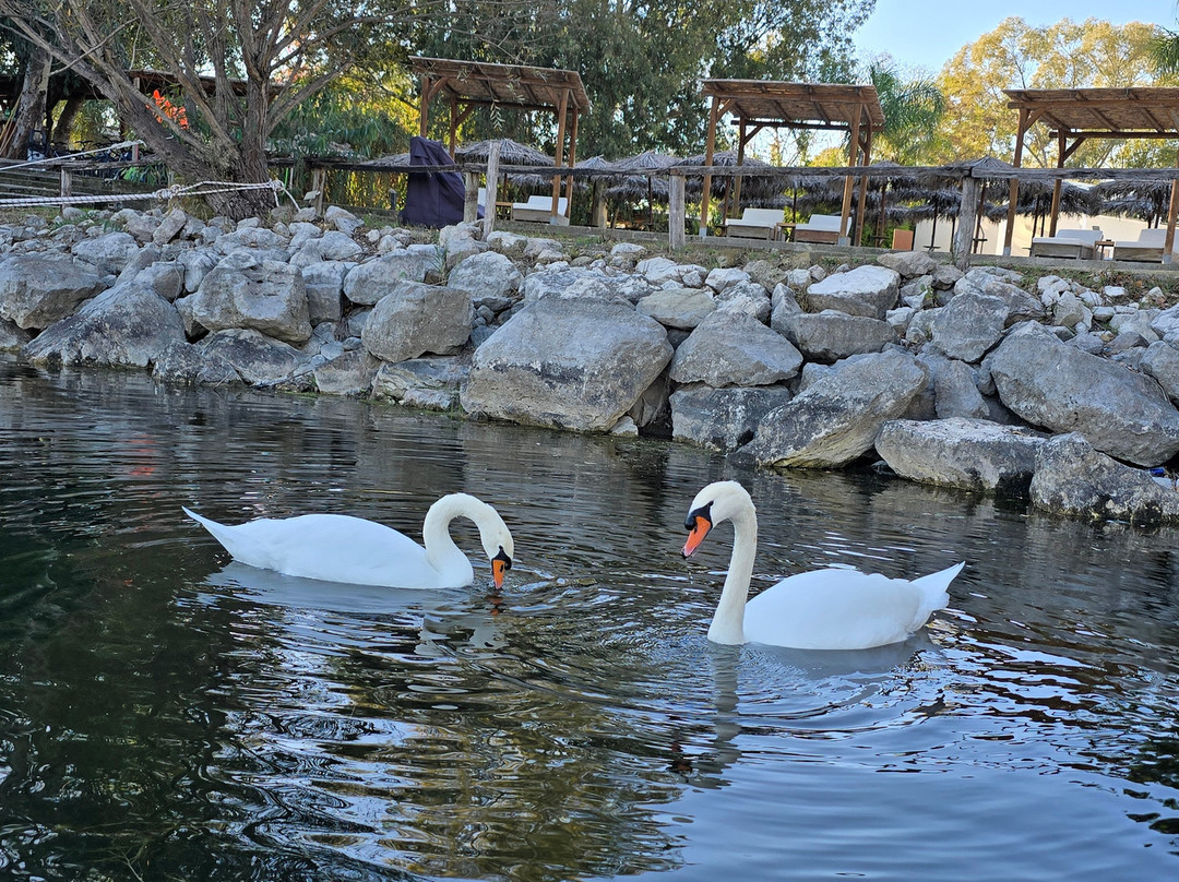 Laghi Nabi - Oasi Naturale主图