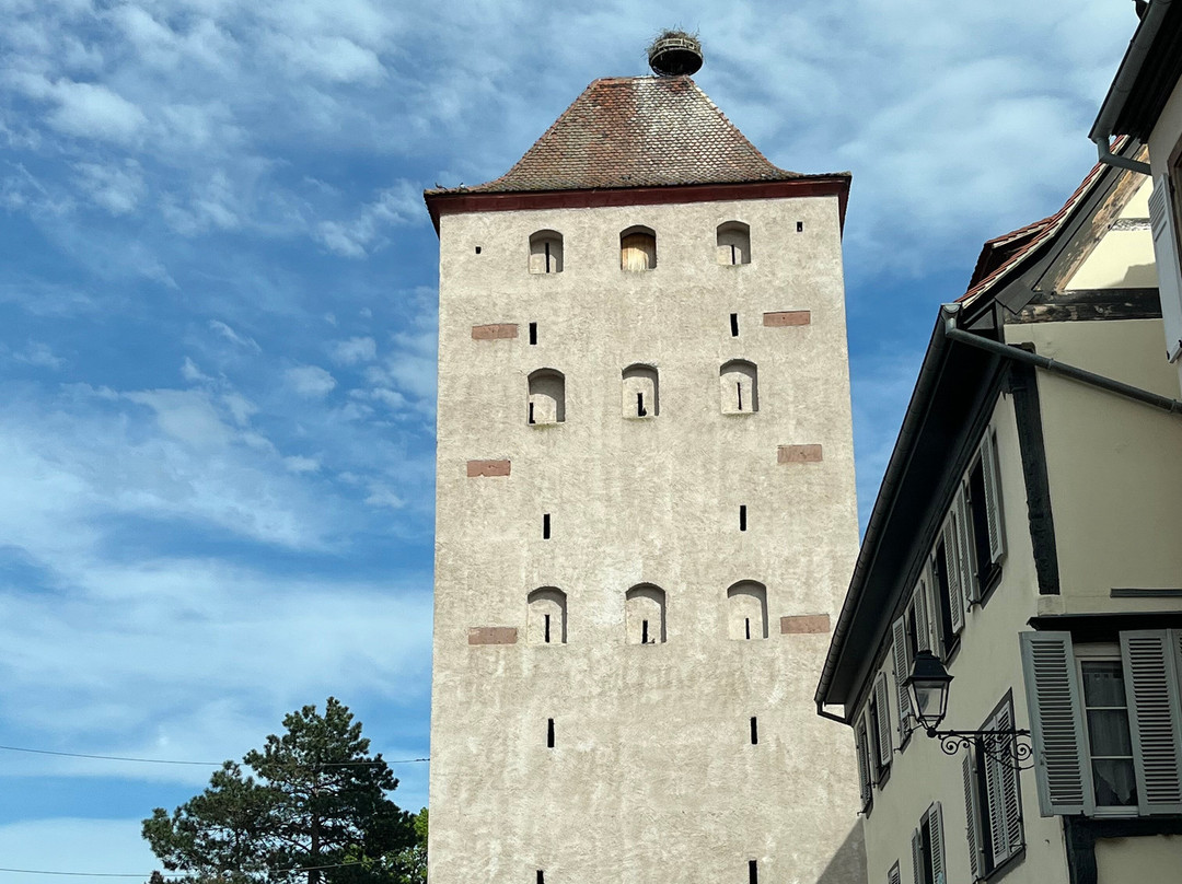 Tour des Sorcieres-塞勒斯塔必去景点