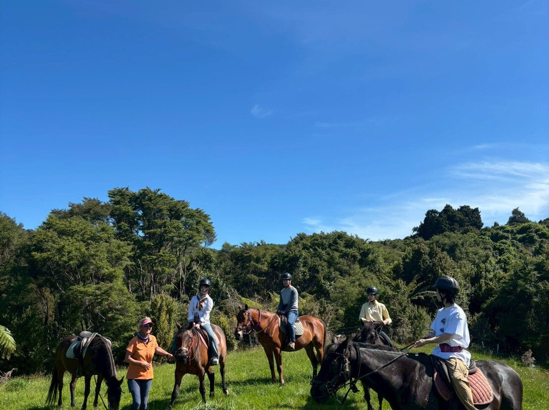 Surf & Turf Horse Riding Raglan-拉格伦必去景点
