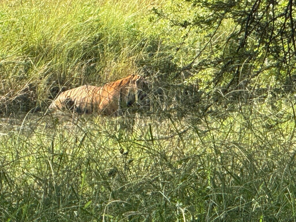 D.K. Car and Driver India-阿格拉必去景点