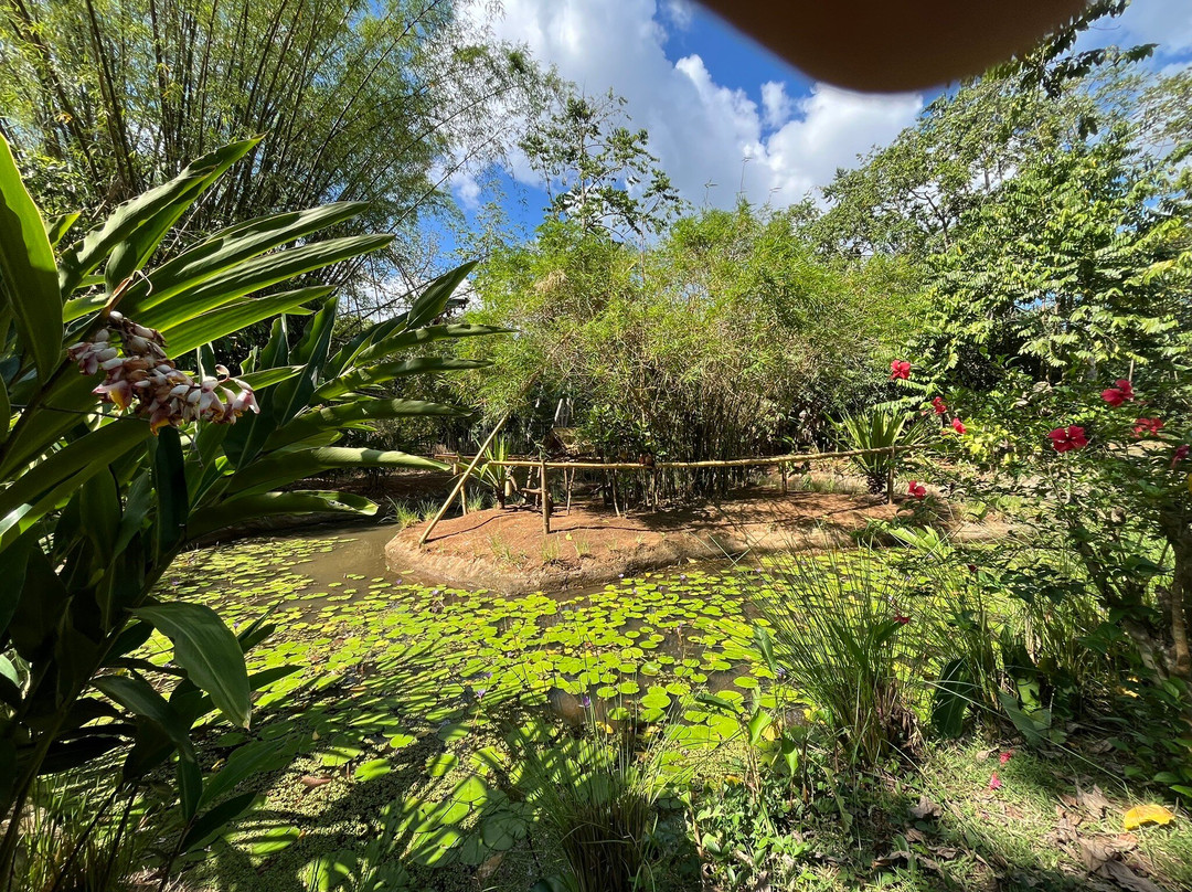 Lemuria Land-诺西贝必去景点