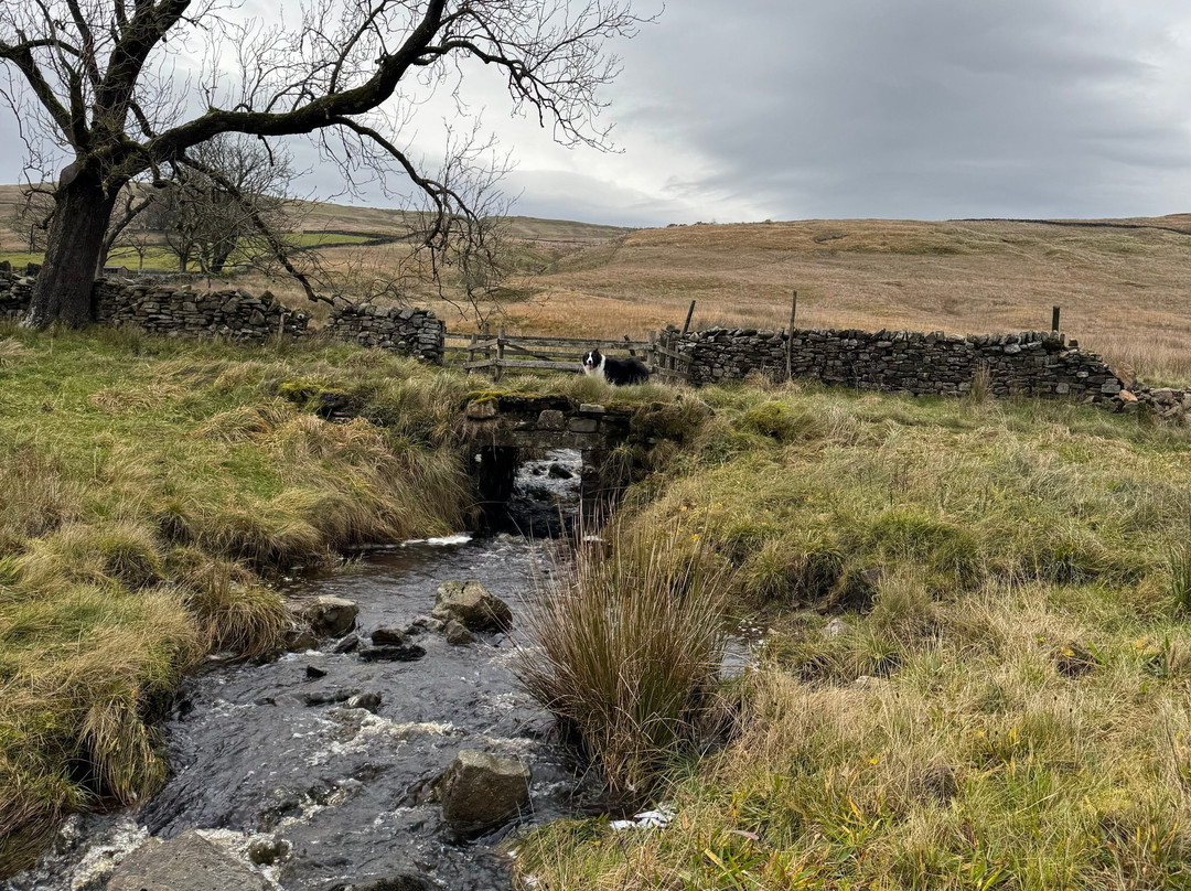 Nethergill Farm主图