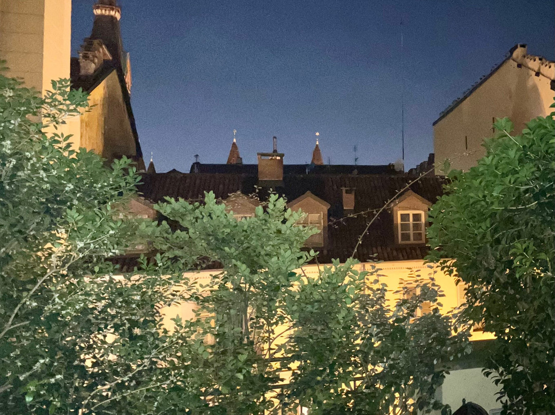 都灵宫殿酒店主图