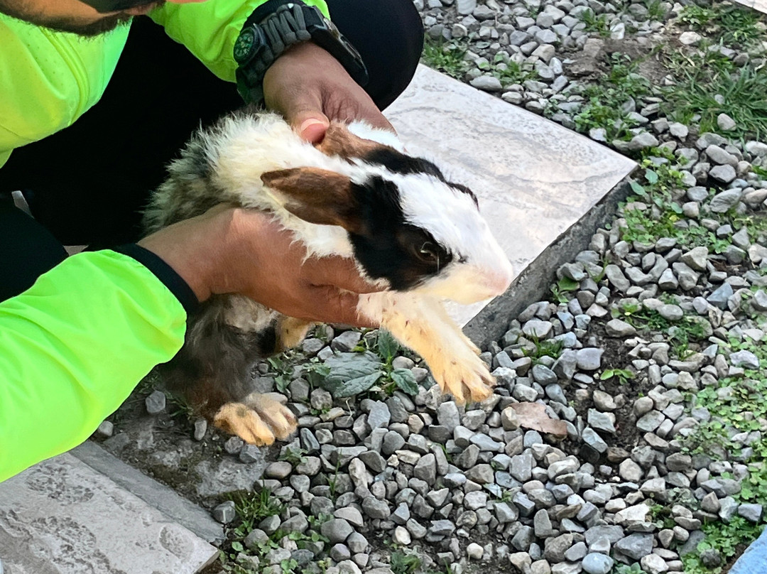 Lansdowne Called Celebration-Lansdowne必去景点