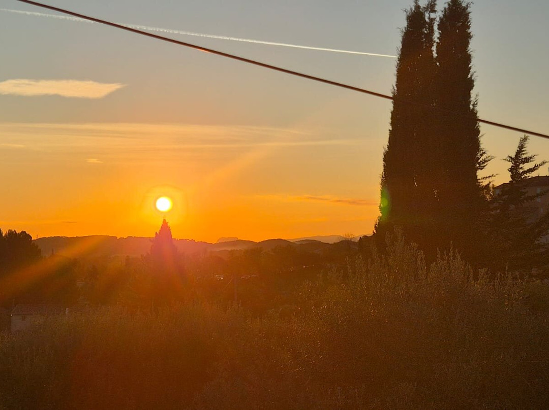 老妇人巴斯蒂德酒店主图