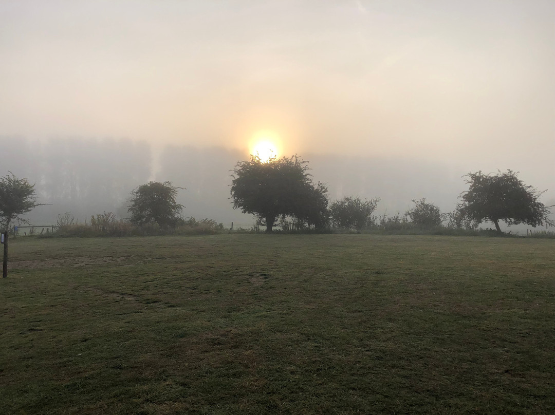 Sizewell酒店住宿-The Eels Foot Inn