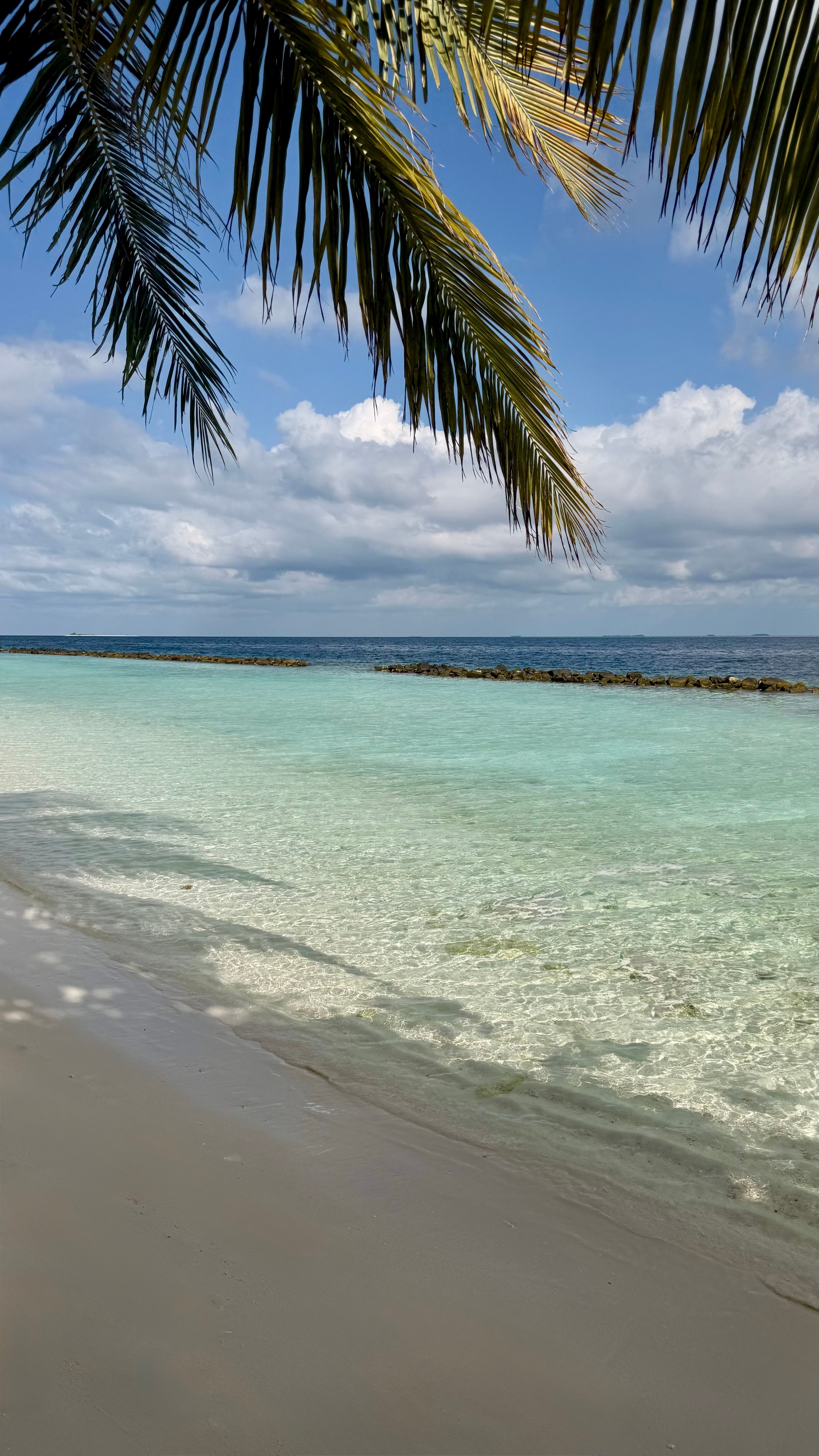 皇家岛度假村-泳池
