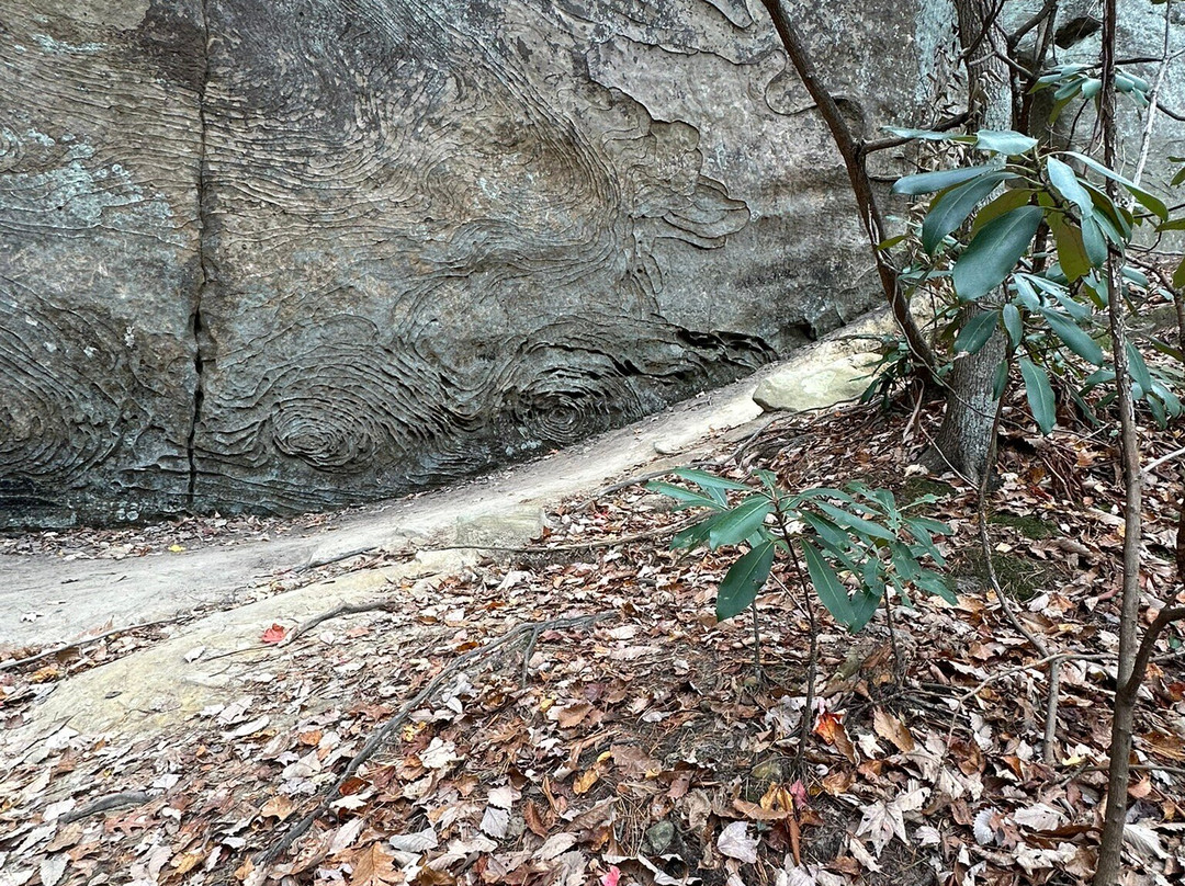 Sky Bridge Trail-Slade必去景点