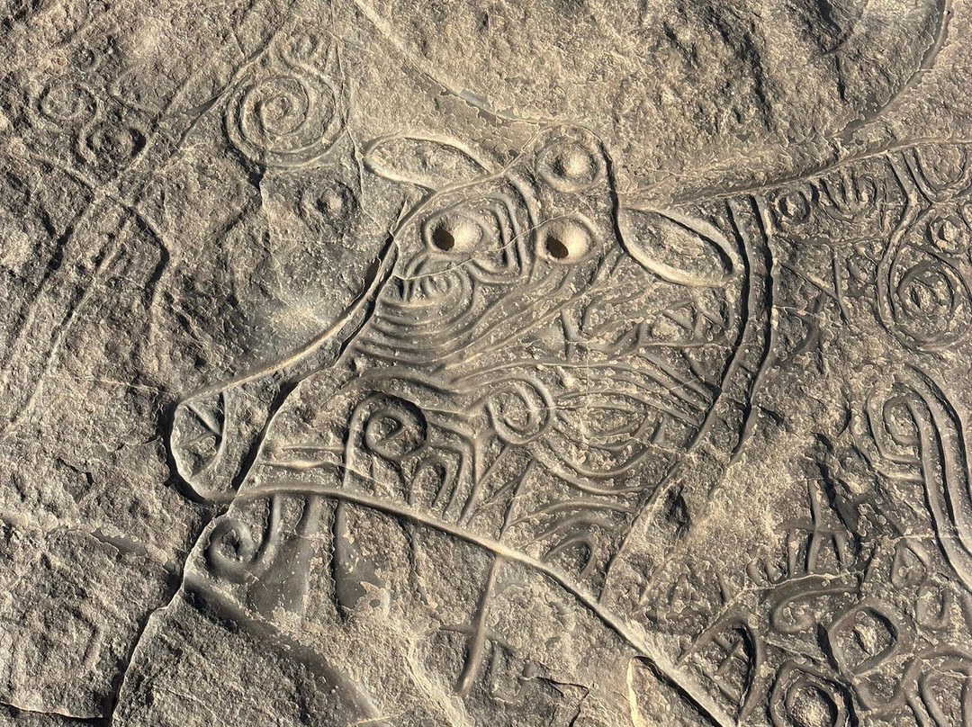 Sahara Africa Tours-Djanet必去景点