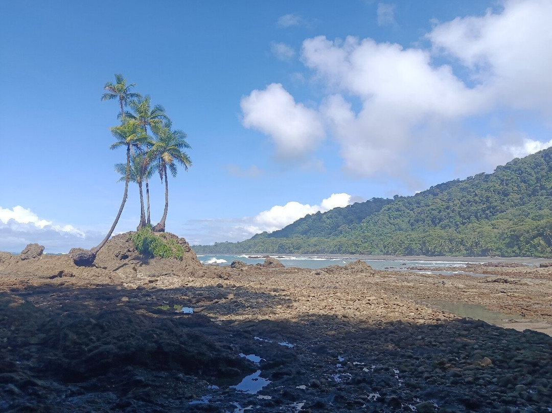 Corcovado Hiking Tours-希门尼斯港必去景点