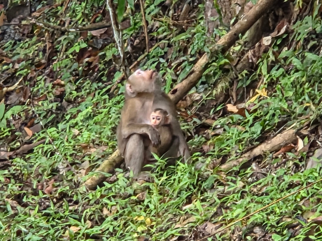 考艾自然生活及旅游主图