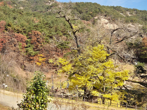 Yeongguksa-永同郡必去景点