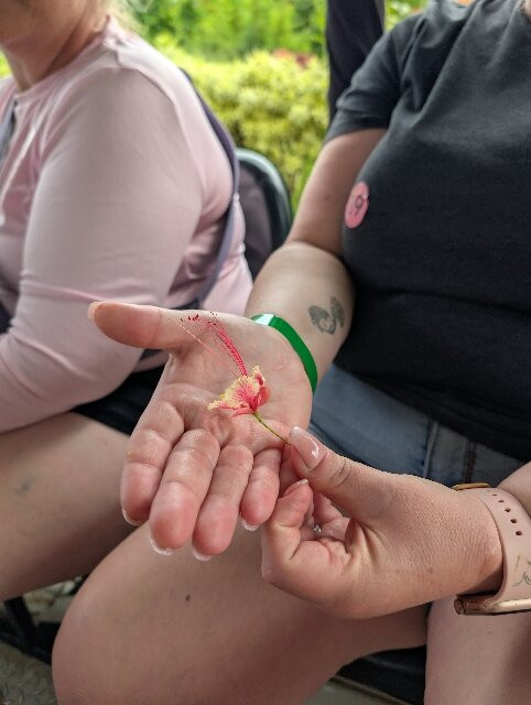 Island Safari Barbados-Saint Michael Parish必去景点