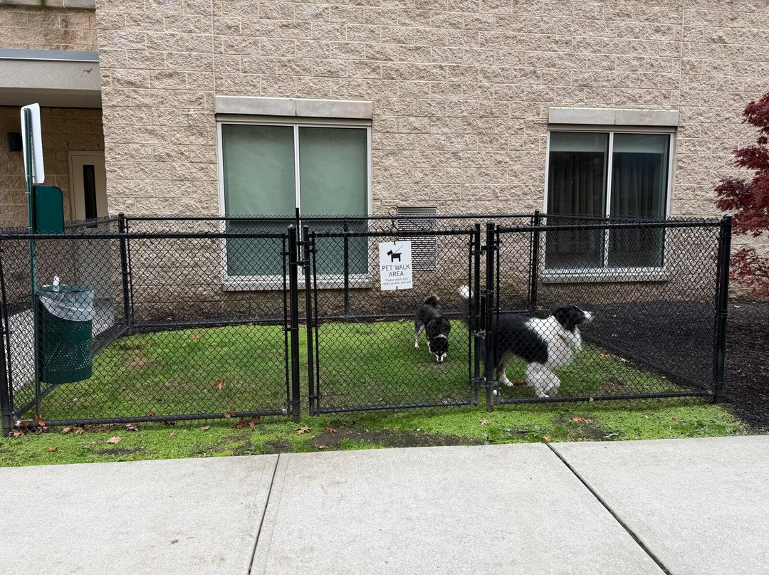 Hyatt Place Fort Lee / George Washington Bridge主图