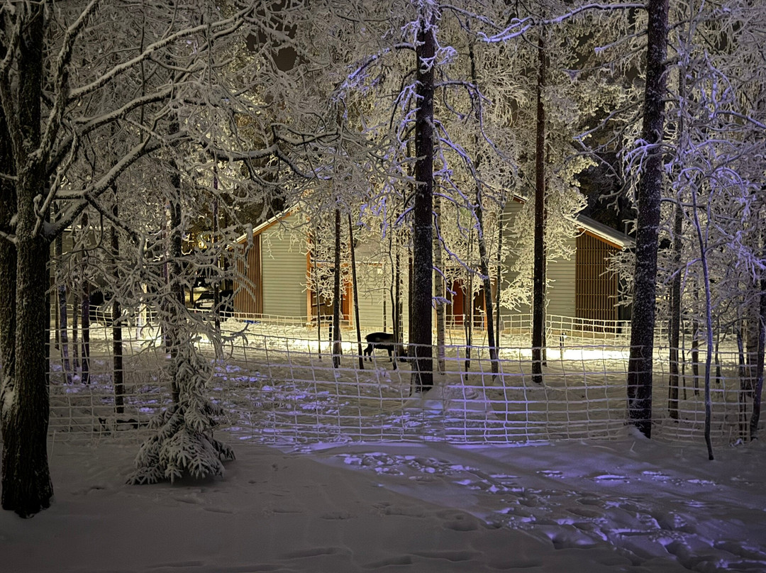 Nova Skyland Hotel主图