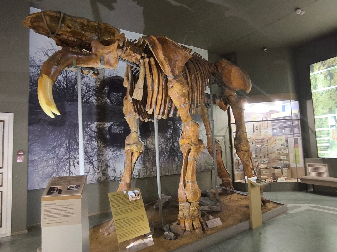 Azov Historical Archeological and Paleontological Museum-Reserve-Azov必去景点