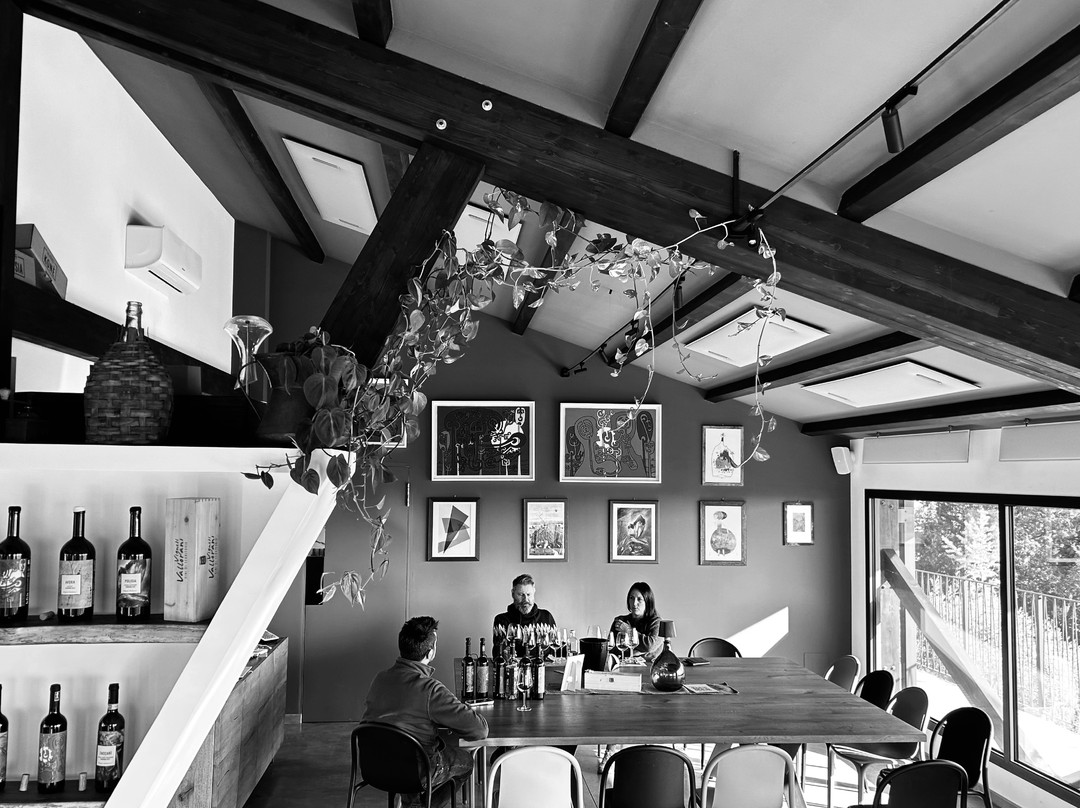 Vigneti Vallorani-Colli Del Tronto必去景点