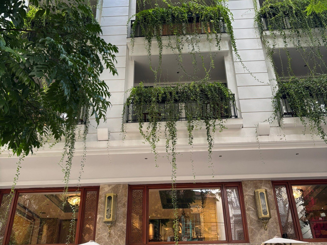 针叶树精品酒店主图