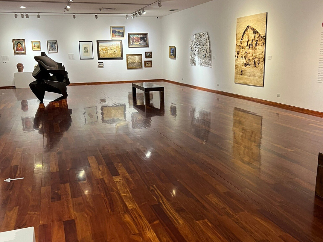 Museo Provincial de Bellas Artes Franklin Rawson-圣胡安省必去景点