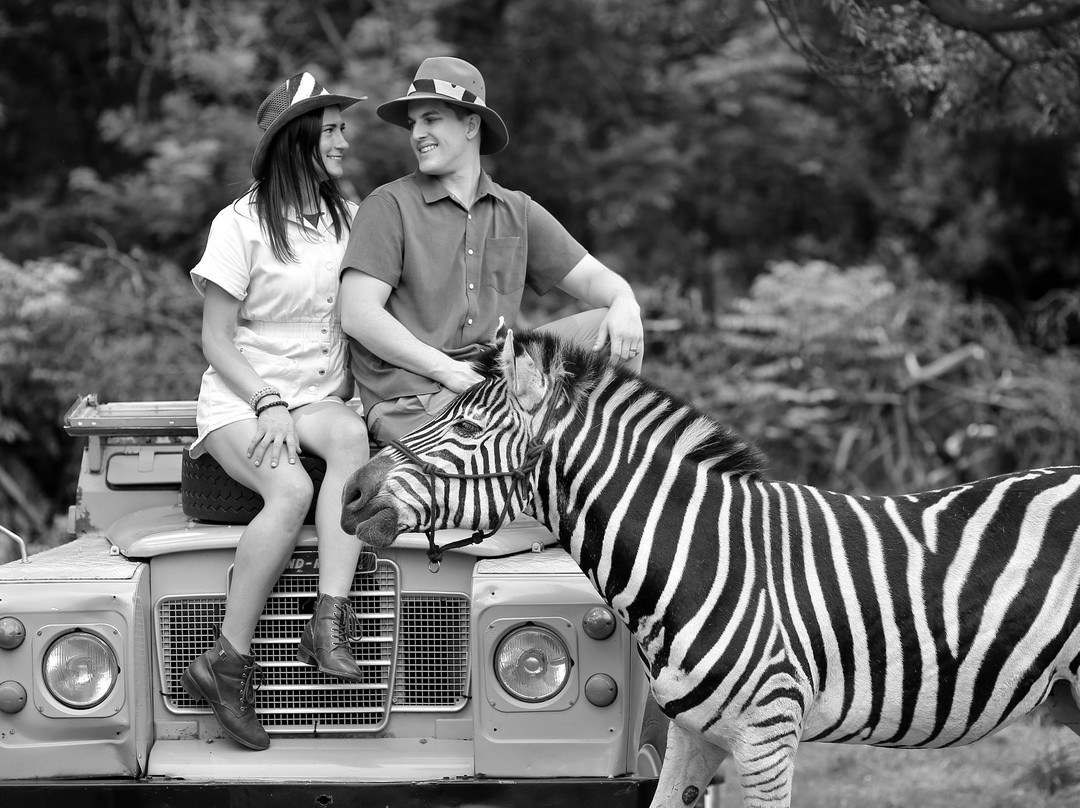 Zebra Interaction-Rayton必去景点