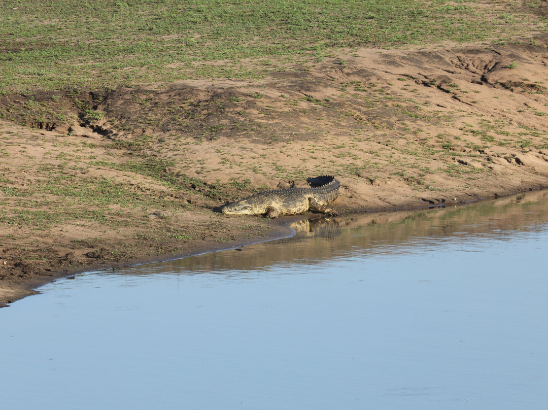 Endless Summer Tours-德班必去景点