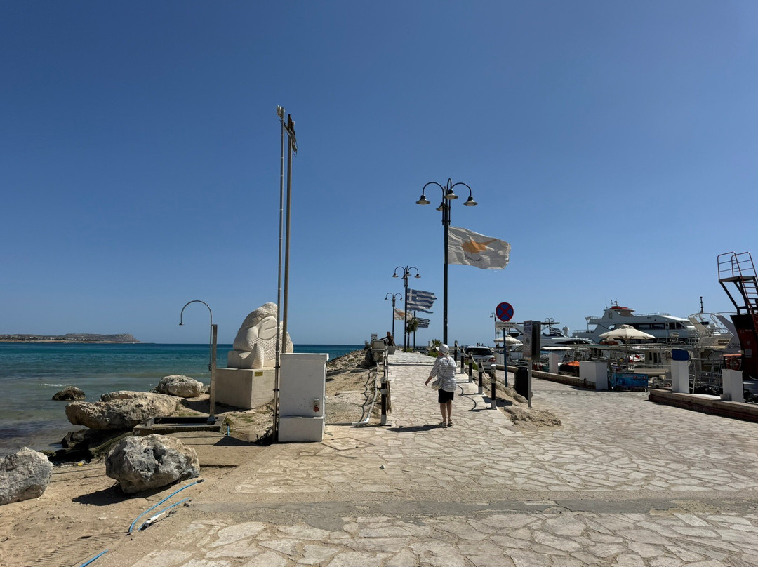 Ayia Napa Harbour-阿依纳帕必去景点