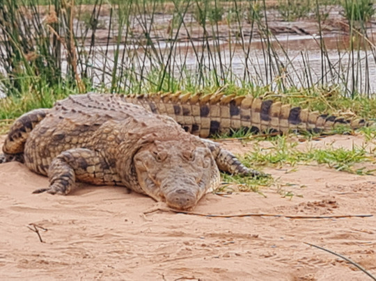 Polenta Usei-瓦塔木必去景点