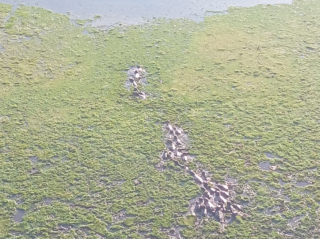 Kilimanjaro Balloon Safaris-安博塞利国家公园必去景点