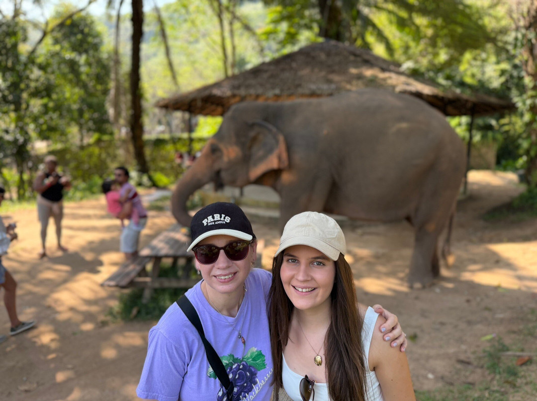 Phuket Elephant Nature Reserve-他朗必去景点