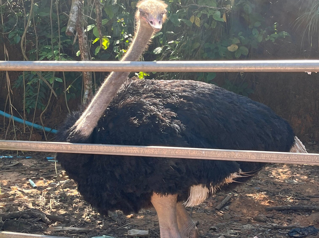 Tada Waterfalls-贡布必去景点