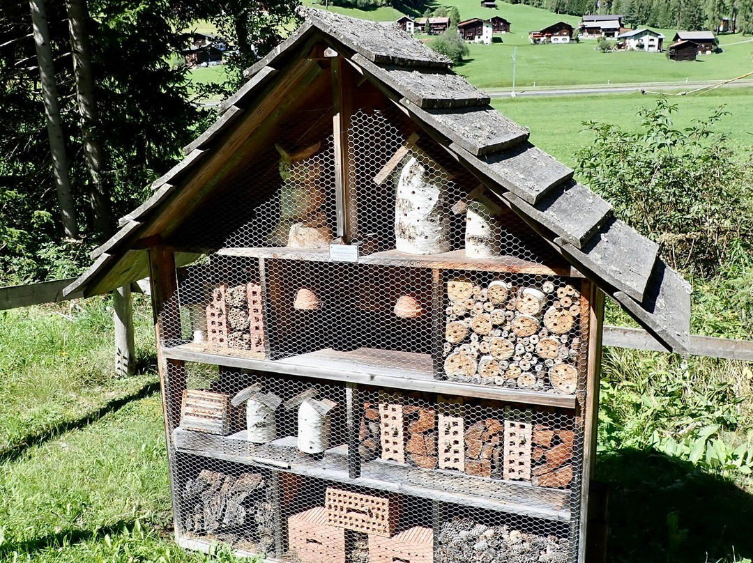 GWunderwald Heidboden Davos-达沃斯必去景点