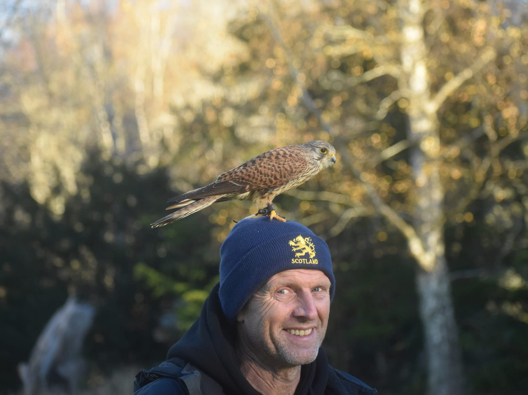 Dalhousie Castle Falconry-邦尼里格必去景点