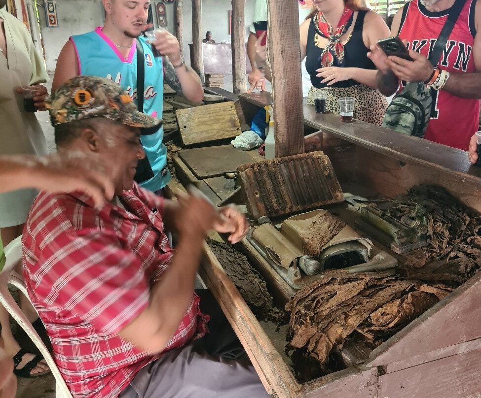 Franconero Escursioni-Bayahibe必去景点